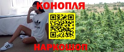 a pvp Михайловка