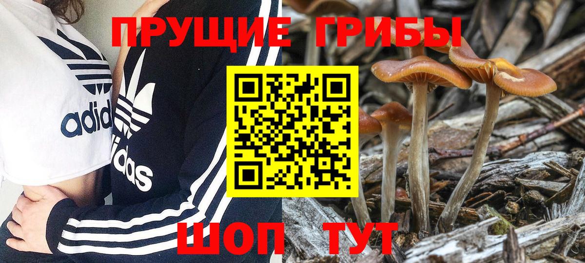 Псилоцибиновые грибы Magic Shrooms Богородск
