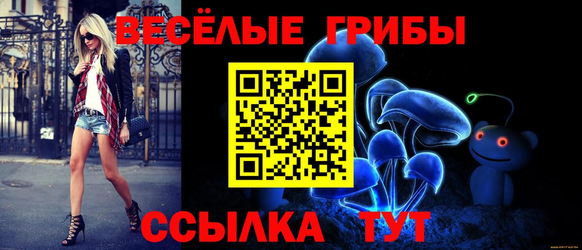 Богородск  продажа наркотиков  Вход с VPN  Псилоцибиновые грибы MAGIC MUSHROOMS 